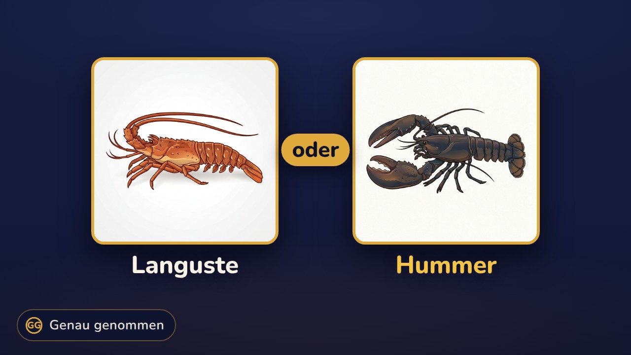 Languste und Hummer nebeneinander